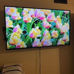 SCEPTRE  50inch Tv 