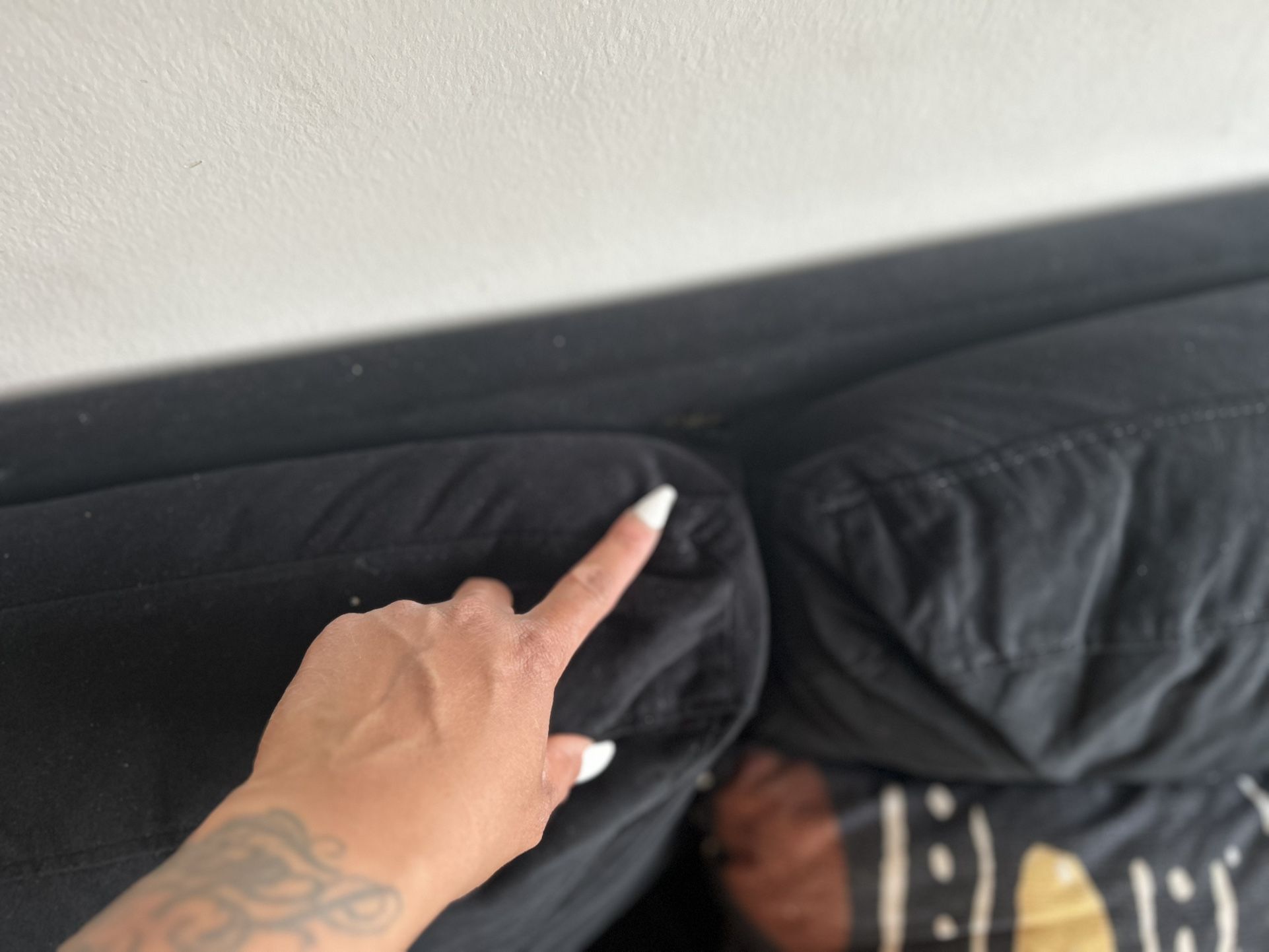 2 couches 2 rugs