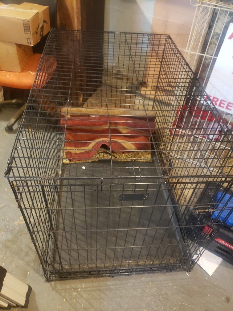 Xxl Dog Kennel