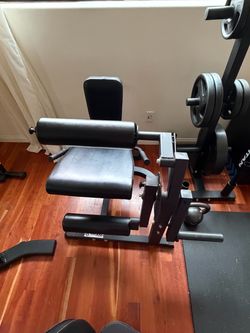 Titan leg extension and hamstring curl - $300
