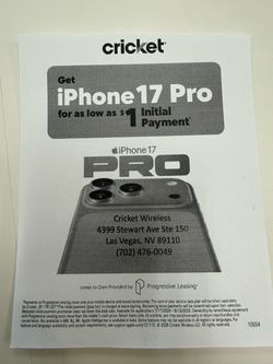 17 Pro Max