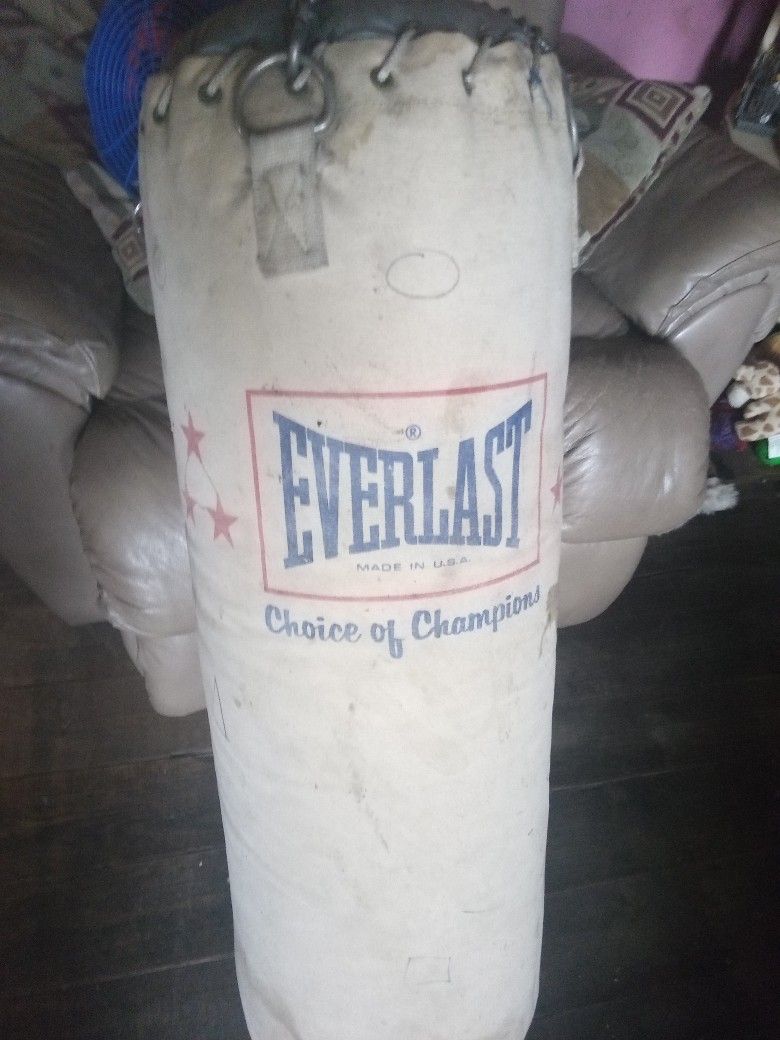 Everlast Heavy Punching Bag