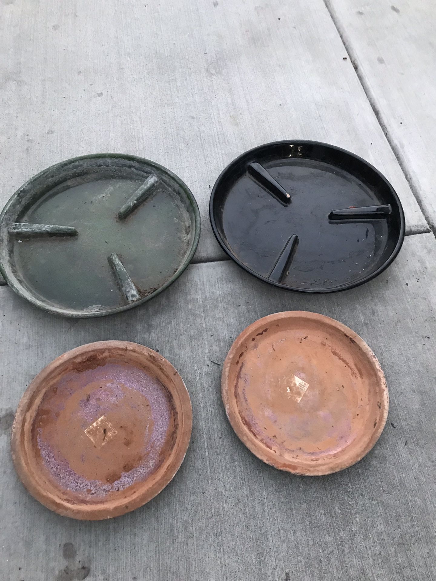 Plants pots plates all 7