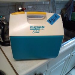 Big Boy Elite Playmate Cooler! L👀k...