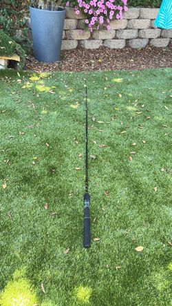 Fishing pole
