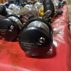 Shimano Torium 20hg Fishing Reel 