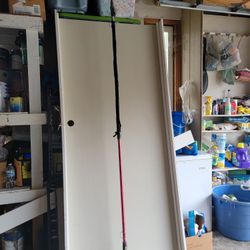Vendo LA Puerta Como Para Un Acceso De Garage Acosina, Con Todo Y Marco
