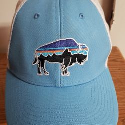 Patagonia Fitz Roy Bison Buffalo Snapback Mesh Trucker Hat Cap  Blue