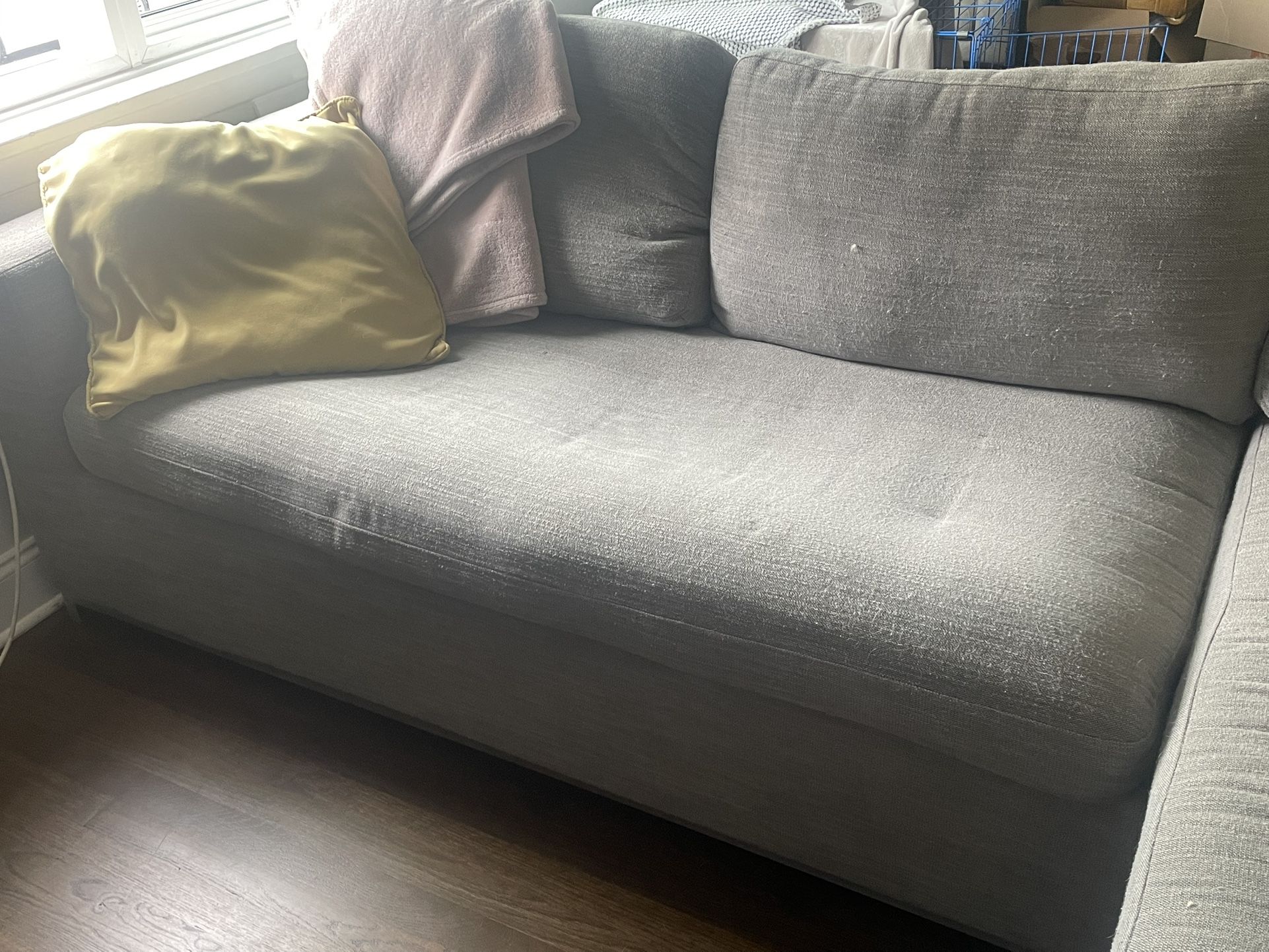 Article Sofa Bed - Best Couch I’ve Ever Had!