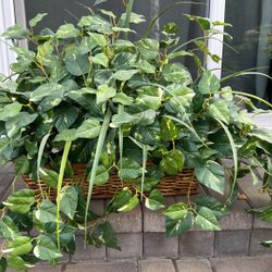 Artificial Plant House Decor