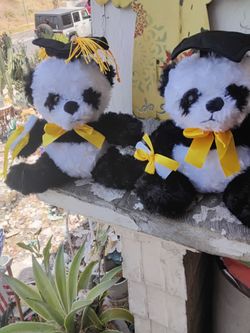 Graduation bears