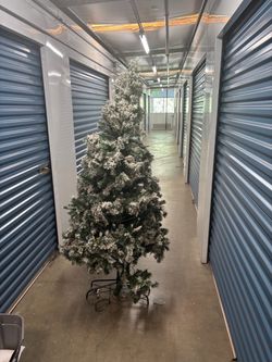 Lights up christmas tree