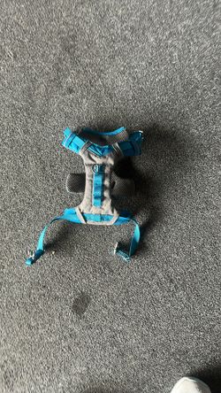 Doggy Harness