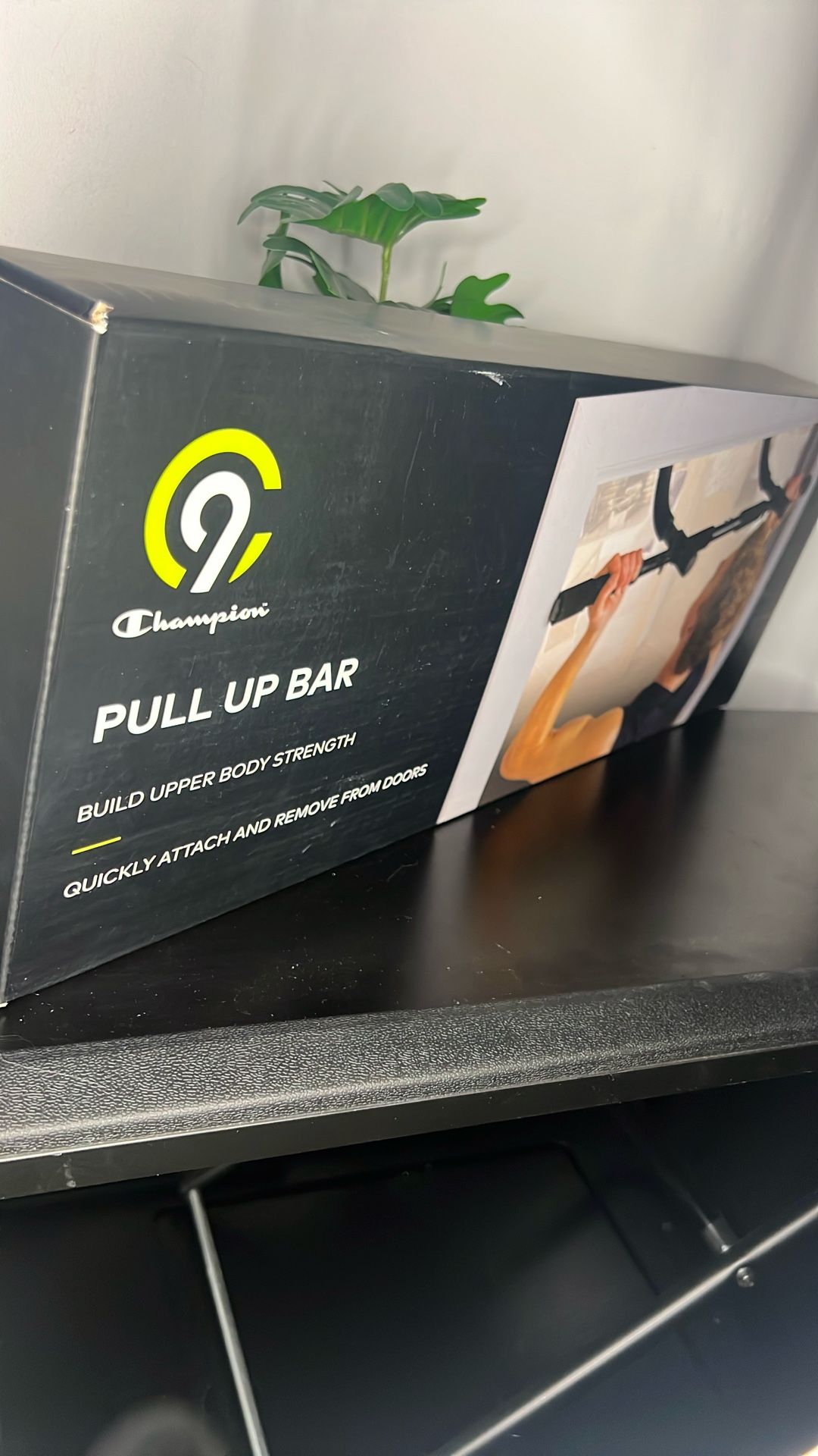 10$ Pull Up Bar