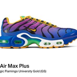 Nike Air Max Plus (GS) CU4678 400 Size 4.5y