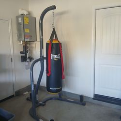 Everlast Punching Bag 