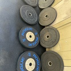 ROGUE BUMPER PLATES