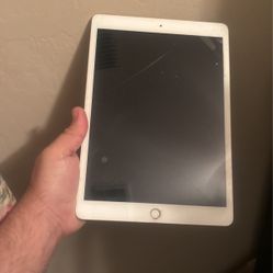 iPad 7th Generation 