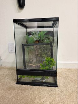 Animal reptile enclosure cage terrarium