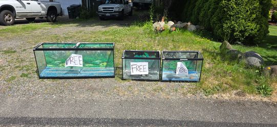 Free fishtanks