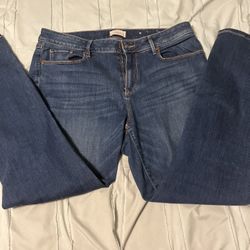 Woman’s Blue Denim Jeans The loft brand Sz. 12