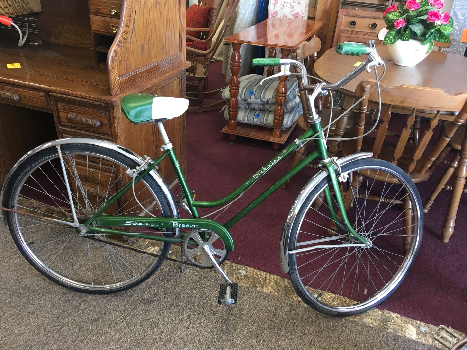 Schwinn breeze