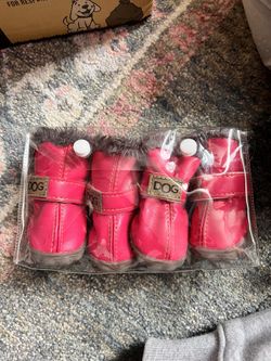 Small Dog Boots