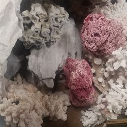 Coral, Dry Rock, Live Rock, Reef
