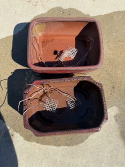 Bonsai Pots