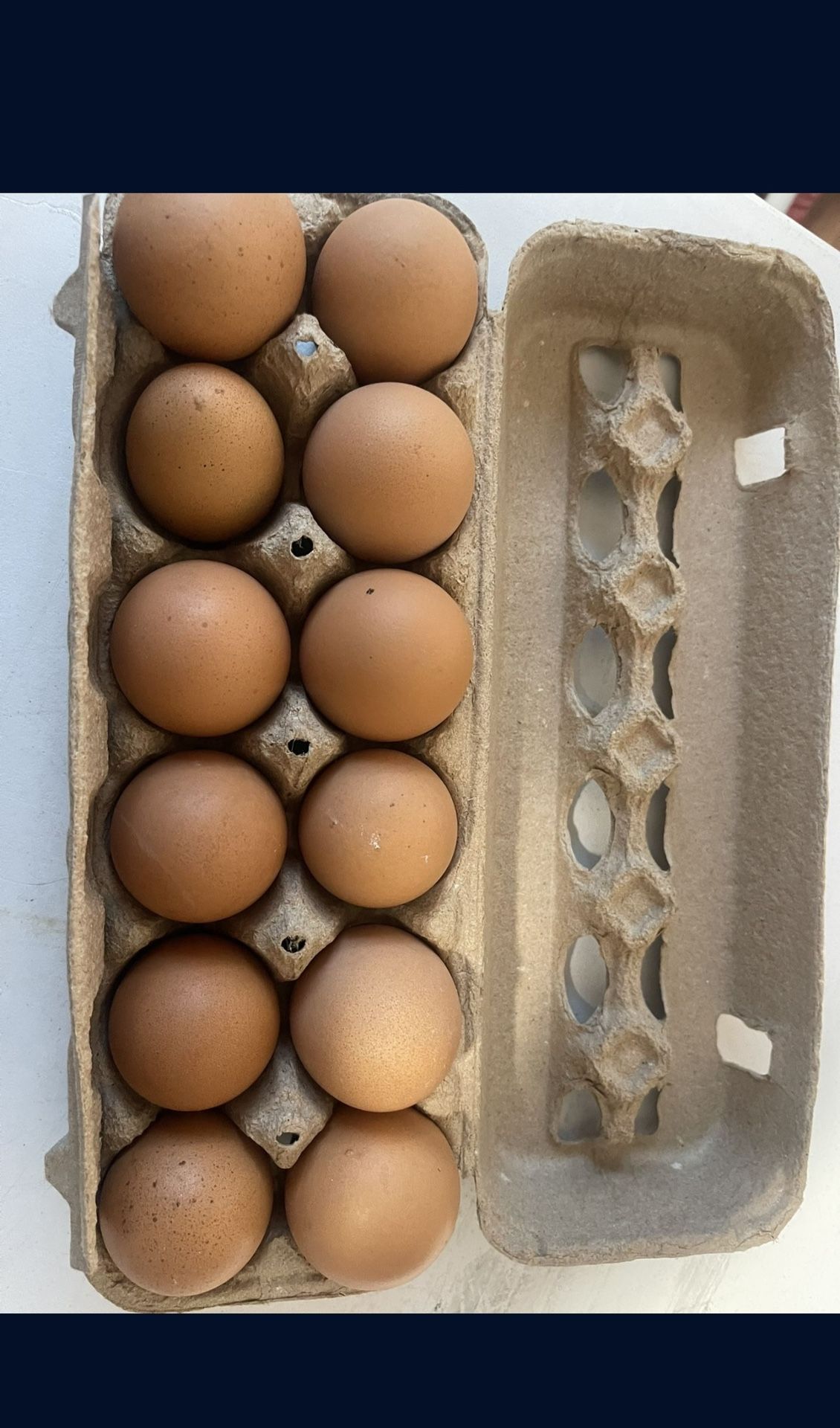 Fresh Eggs $8 the Dozen