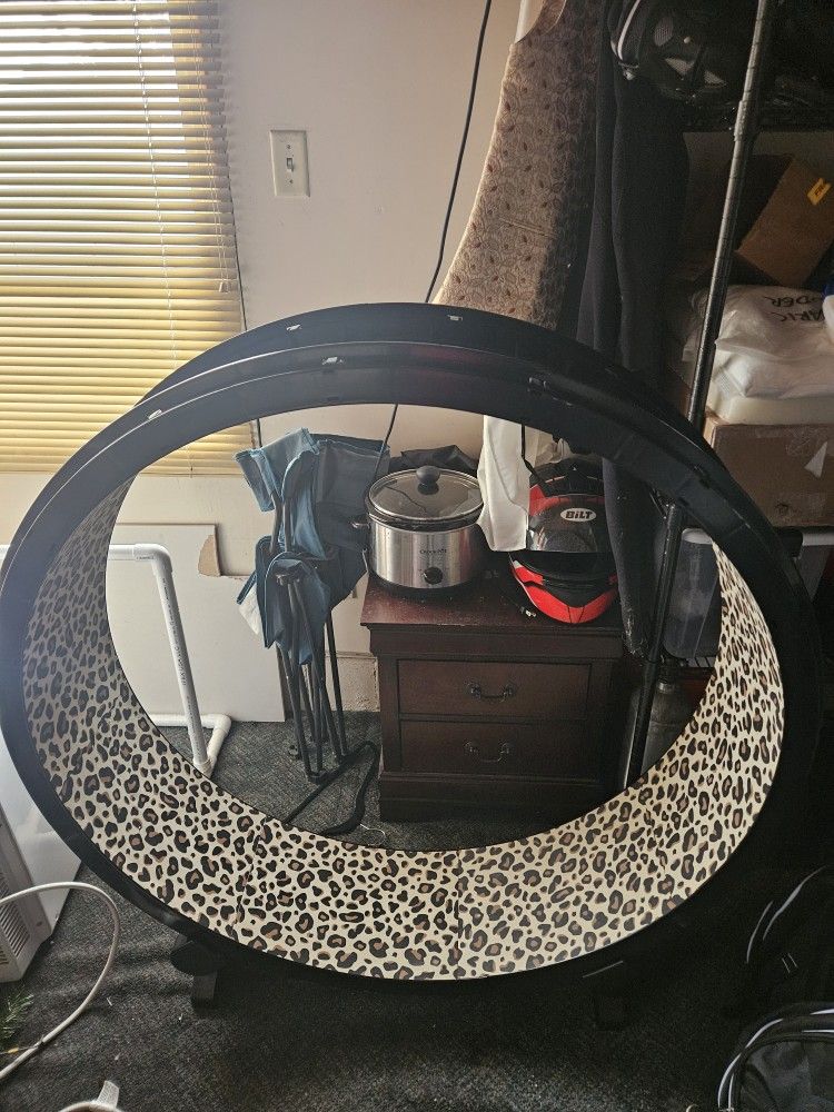 One Fast Cat Indoor Running Wheel
