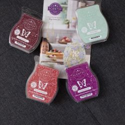 Scentsy Bar Fall/Winter Bundle - NEW!