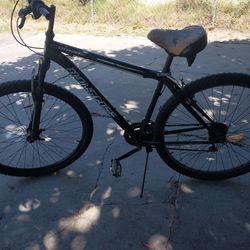 29 inch Mongoose 21 speed