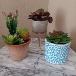 $4 Each All For $10 Artificial Succulents in Pots