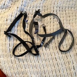 Gentle Lead Large Dog Collars two available