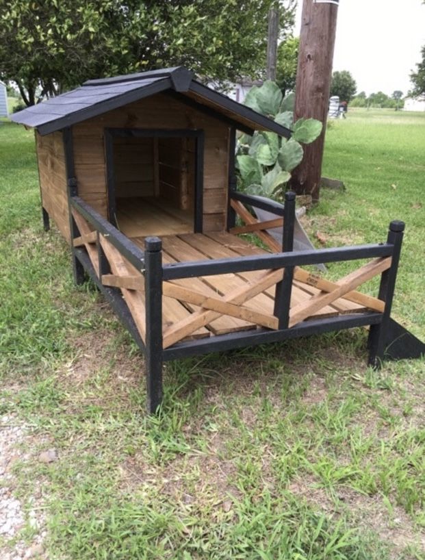 Dog House 