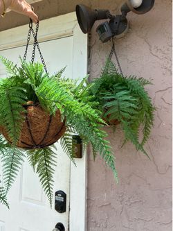 Hanging Planters