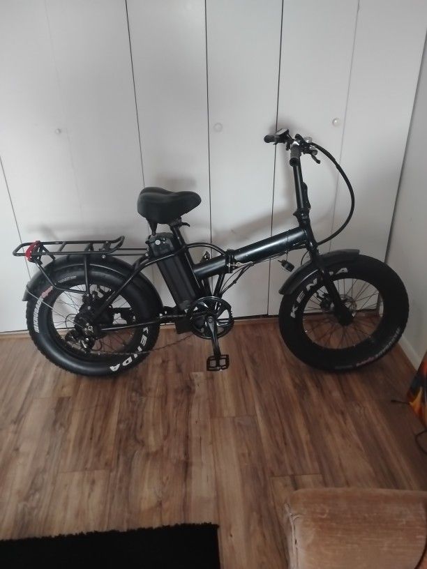 Electric Bike