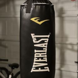 EVERLAST Punching bag