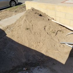 Free Soil