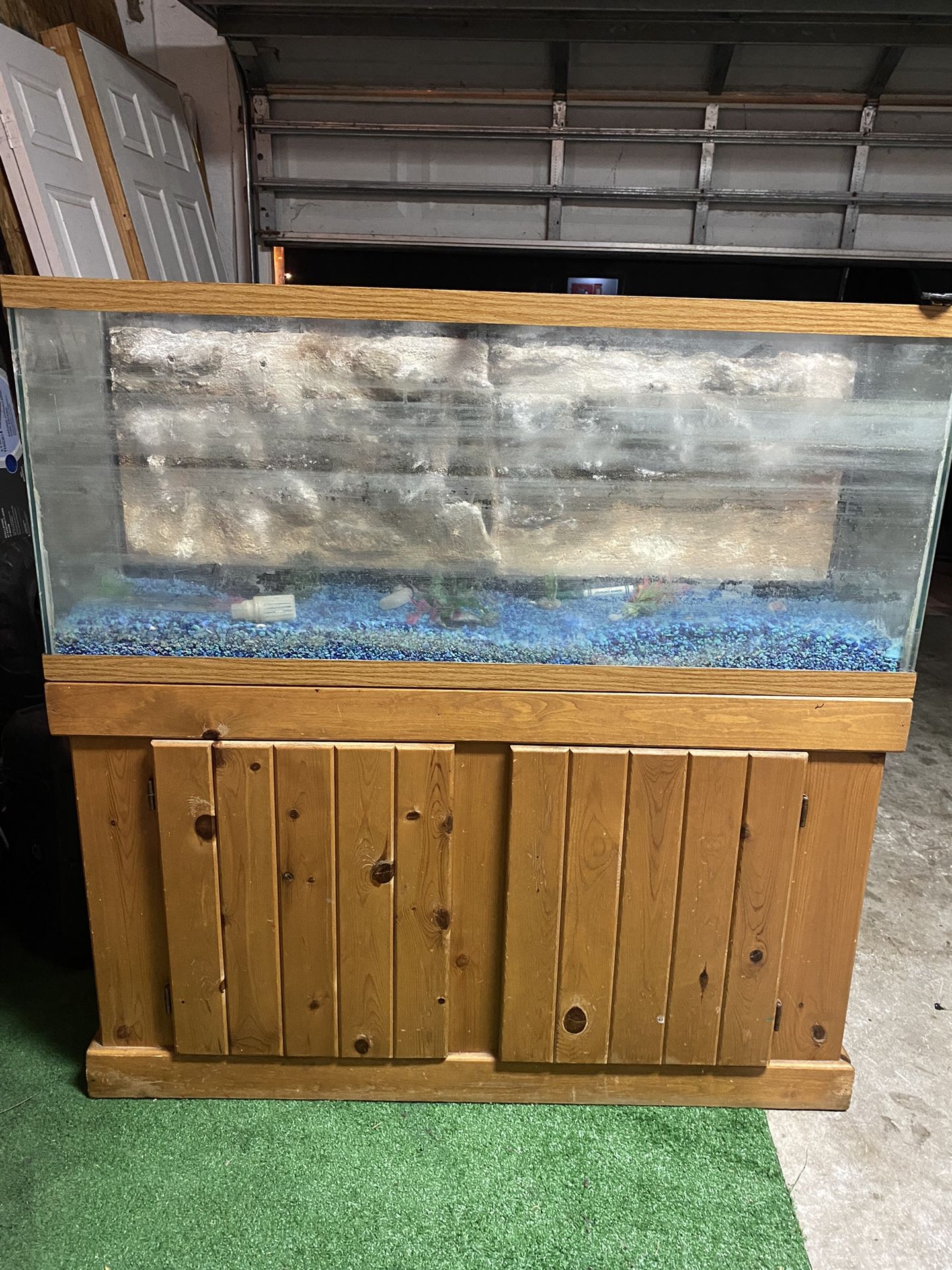 Aquarium/fishtank 55gallon