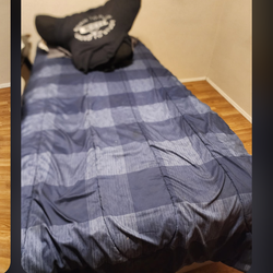 X large  Twin bed and box Spring .