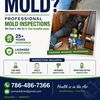 Porto  Mold Inspections  