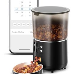 Automatic Pet Feeder