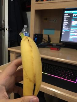 Designer “Supreme” Banana!