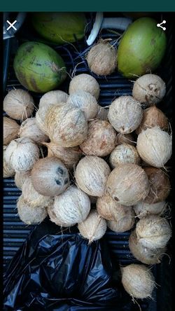 Dry Coconuts For Sale For All Your Great Coconut Recipes