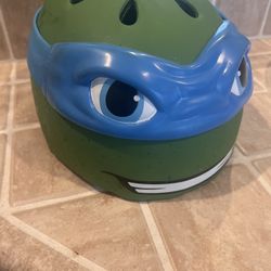Helmet Ninja Turtle
