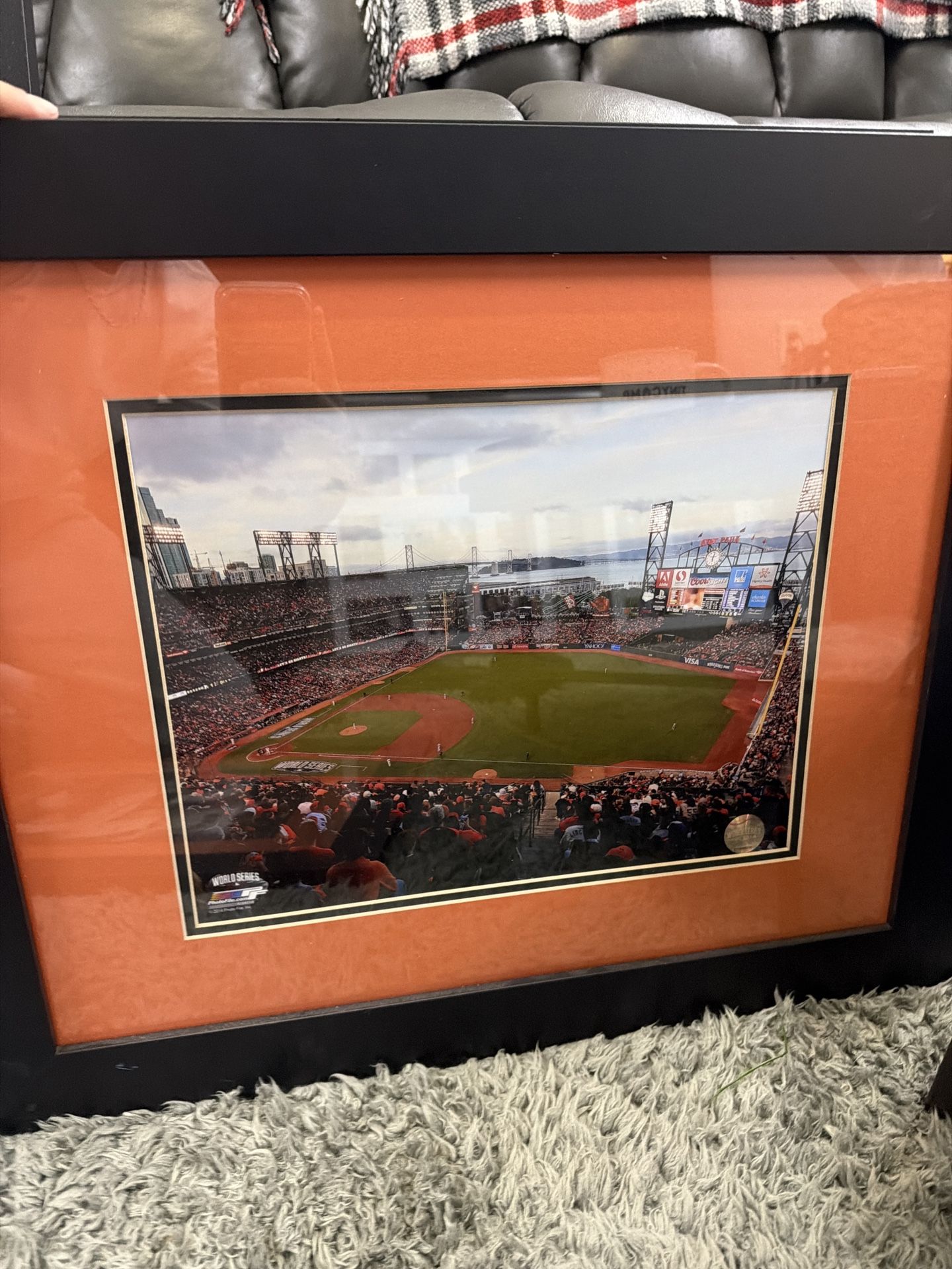San Francisco Giants, World Series Stadium Framed Poster