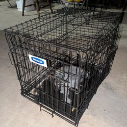 Medium Cage