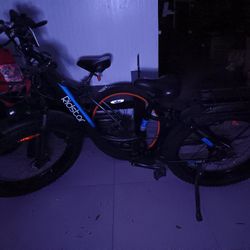 Ridstar Ebike(no Battery)